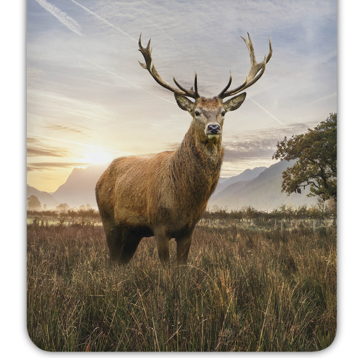 bettwaesche trendy bedding hirsch geweih landschaft berge