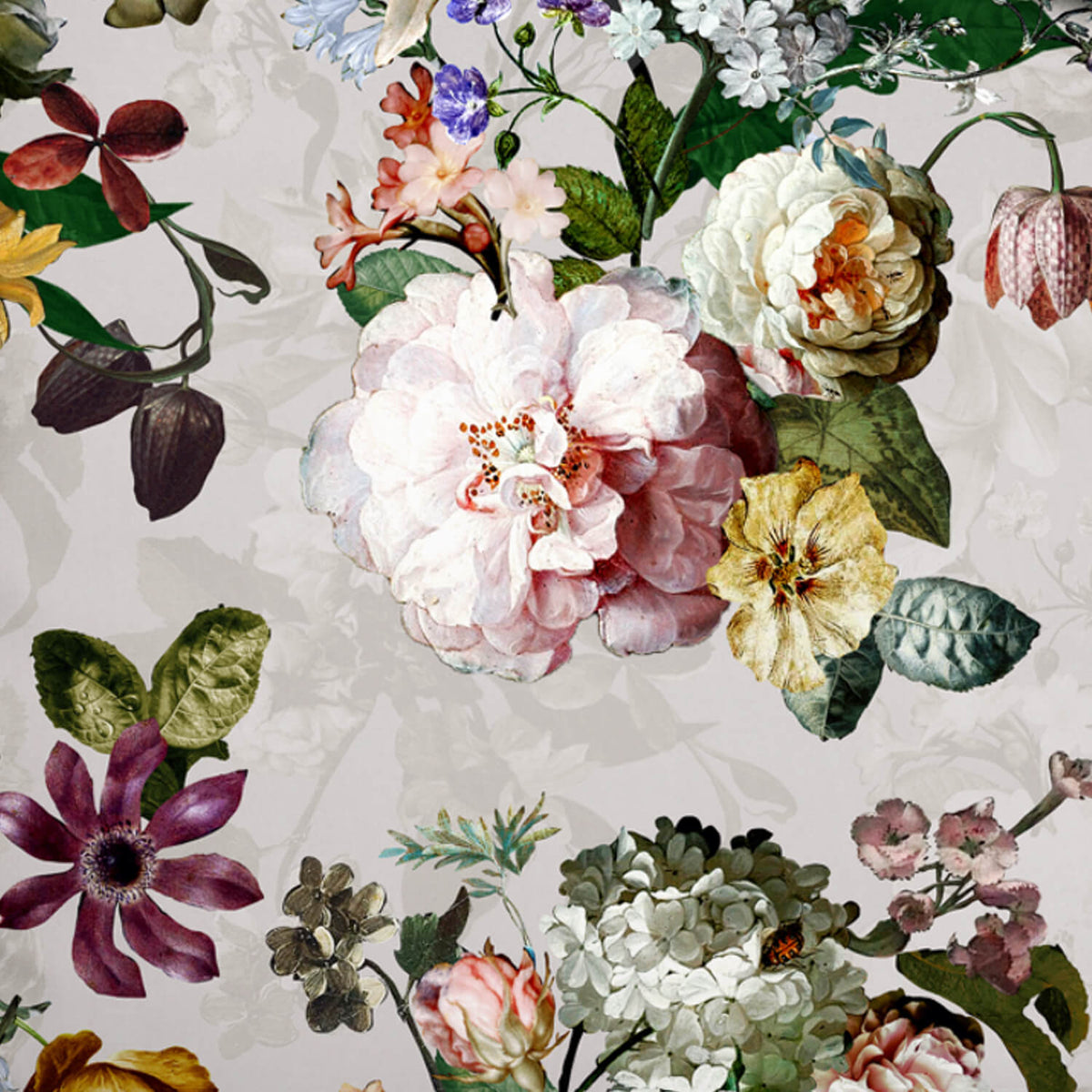 bettwaesche essenza grau blume baumwollsatin