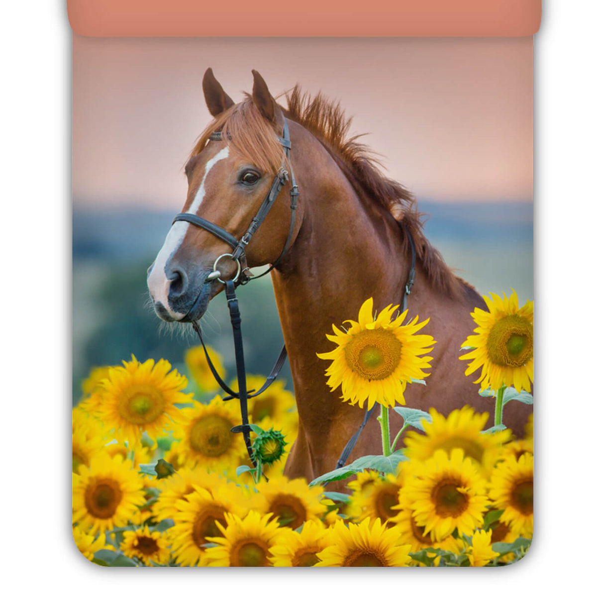 bettwaesche bettgarnitur pferd sonnenblumen espico