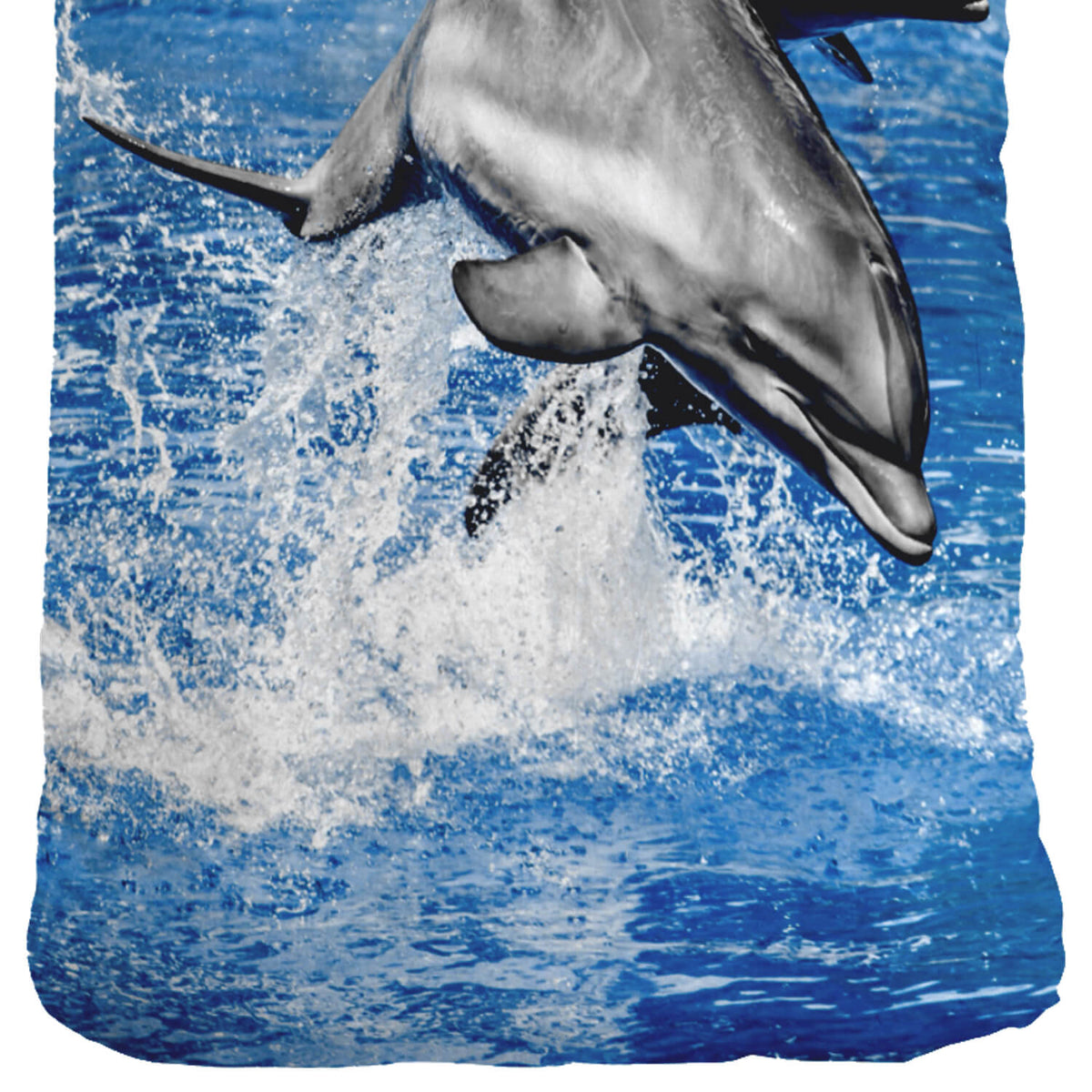 delphin delfin bettwaesche meer ozean fisch