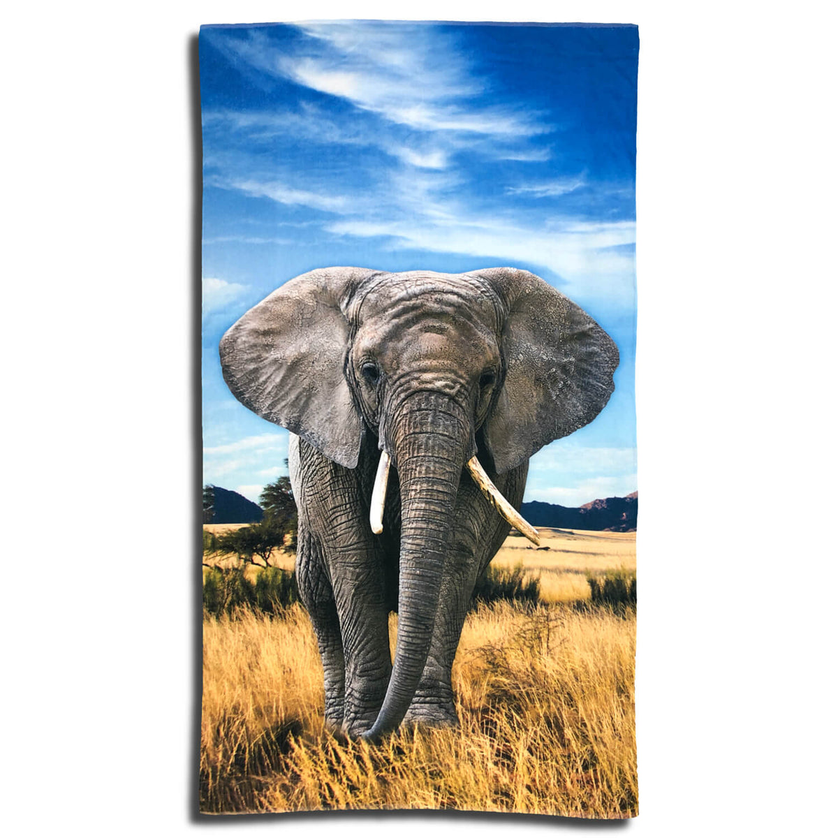 strandlaken elephant espico afrika ruessel