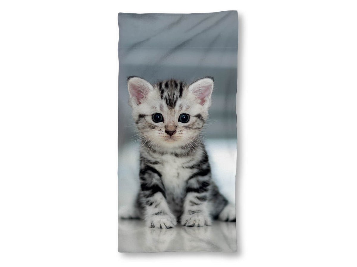 strandlaken handtuch liegetuch tiermotiv katze