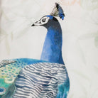bettwaesche vogel pfau federkleid peacock feder 