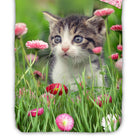 bettwaesche baumwolle tiermotiv bluemchen rosa renforcé