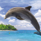 bettwaesche delfin dolphin insel meer 