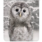 bettgarnitur eule schnee winter vogel nachtschwaermer flanell