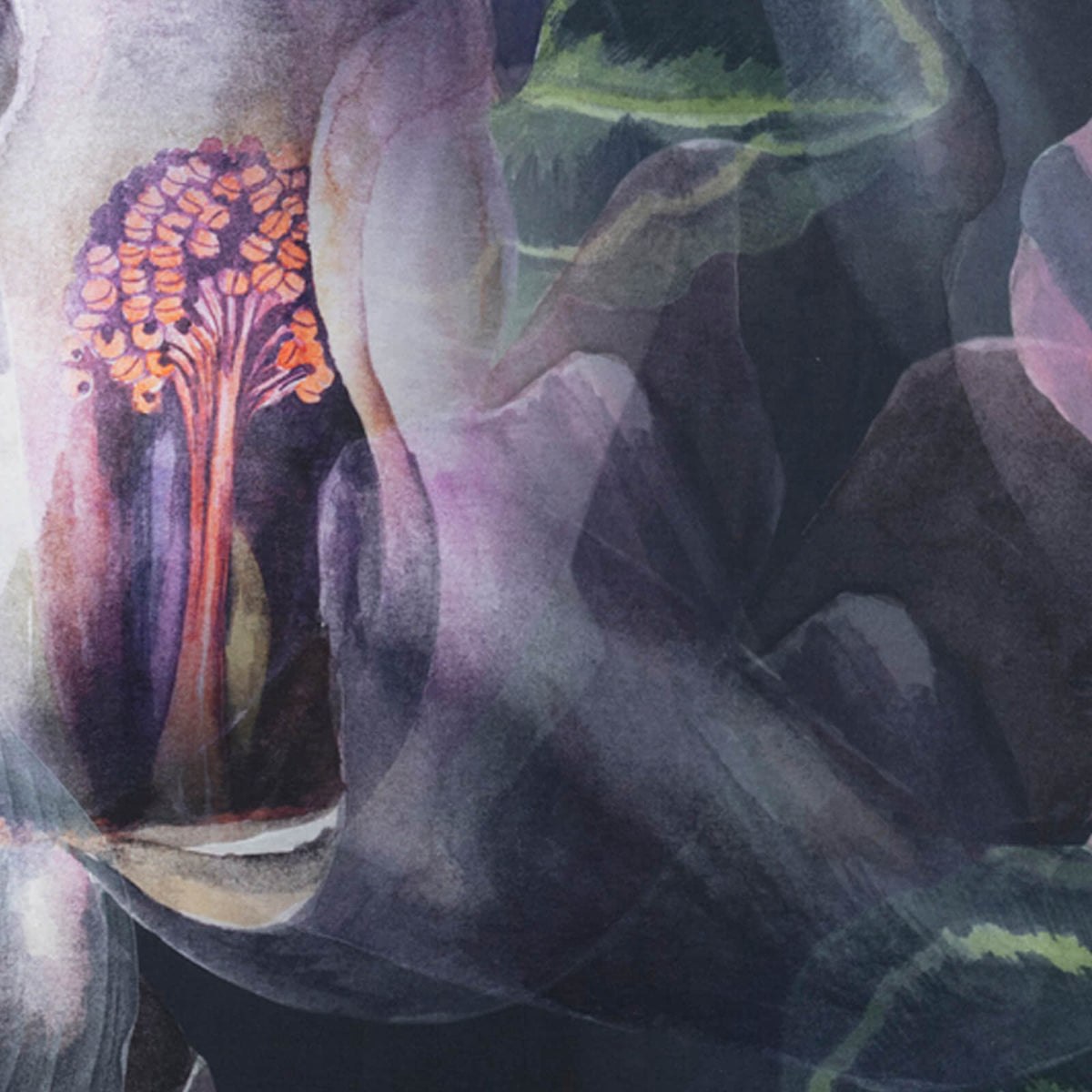 bettwaesche kendra dunkel blume lila