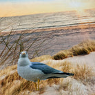 leuchtturm strand bettwaesche sonnenuntergang 