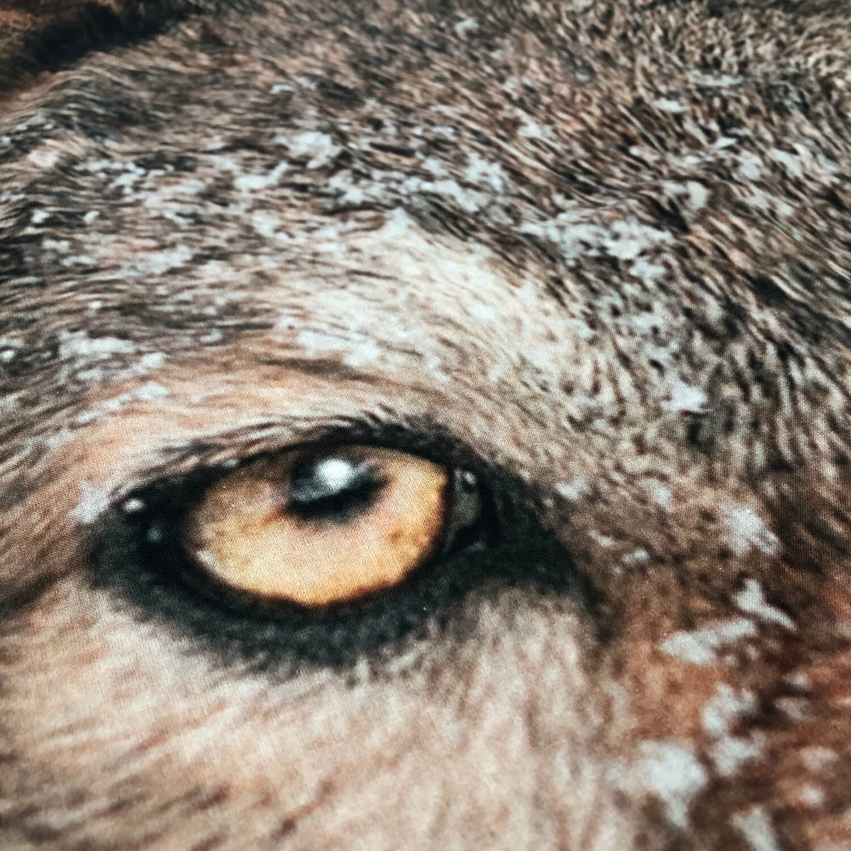 bettwaesche wolf schnee winter raubtier wild