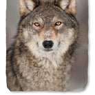 bettwaesche wolf schnee winter raubtier wild
